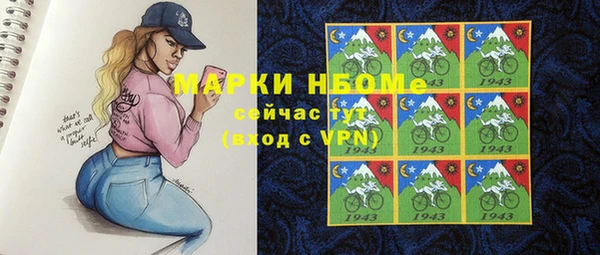 шишки Алексин