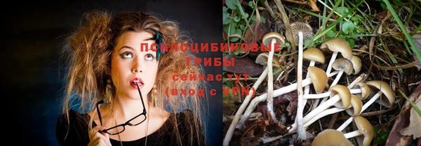 крисы Алзамай