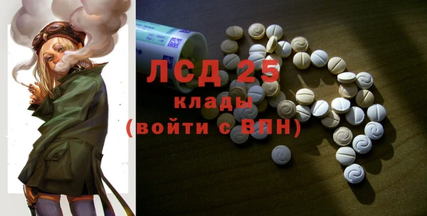 шишки Алексин