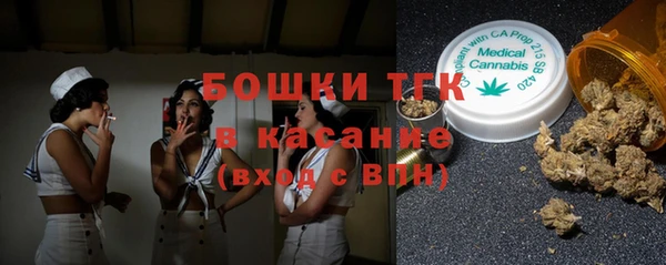 шишки Алексин