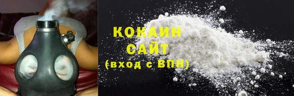 крисы Алзамай