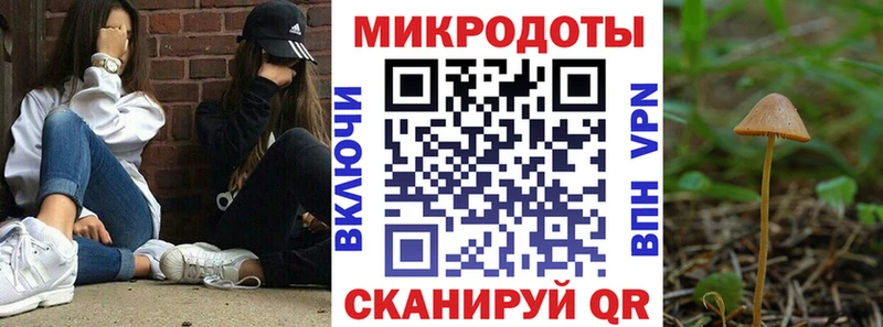 Псилоцибиновые грибы Cubensis  Люберцы 