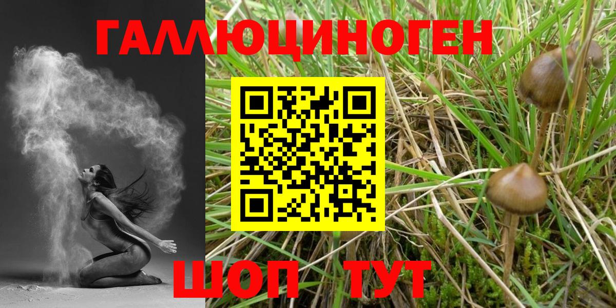 Псилоцибиновые грибы Magic Shrooms Люберцы